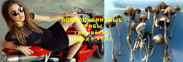 mix Горняк