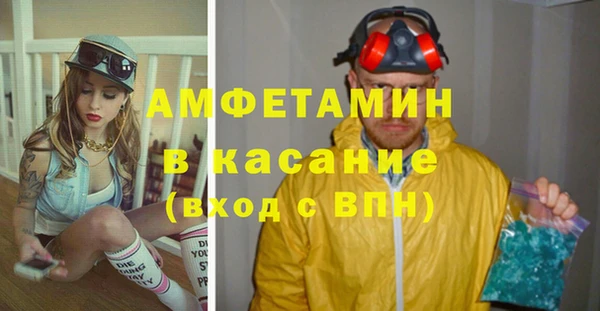 мяу мяу кристалл Гусь-Хрустальный